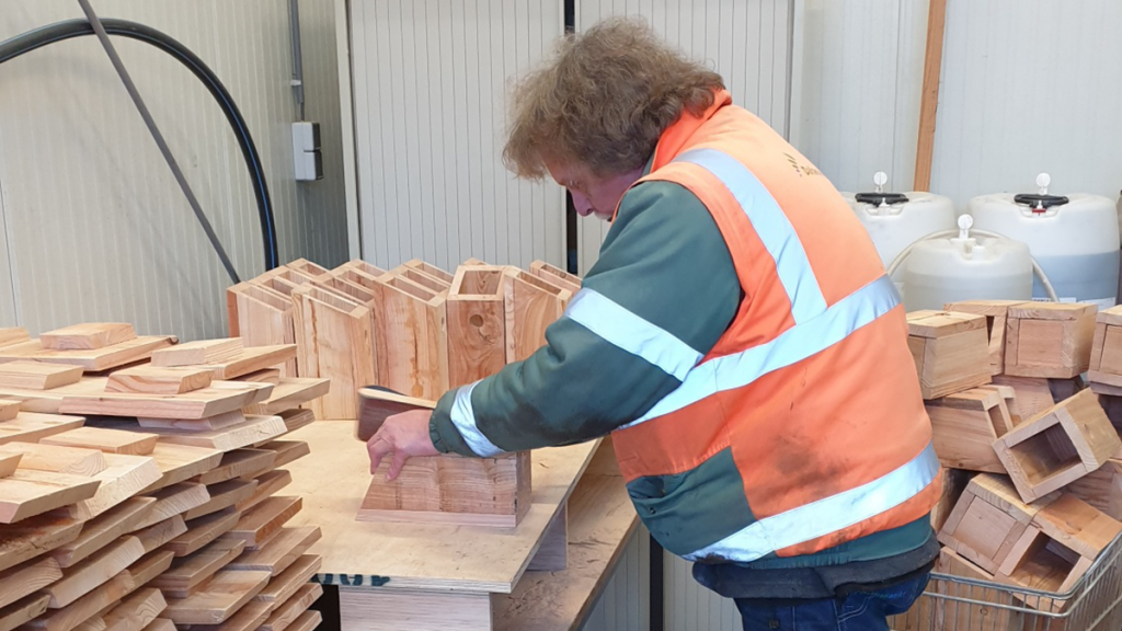 Gratis nestkastjes voor inwoners gemeente Dalfsen