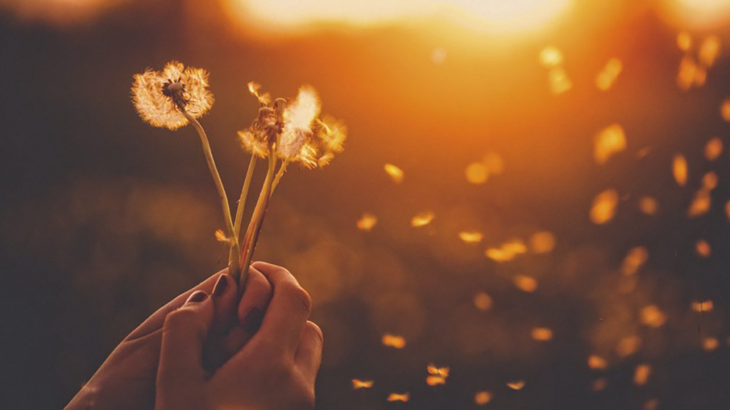 Aandacht voor sterven