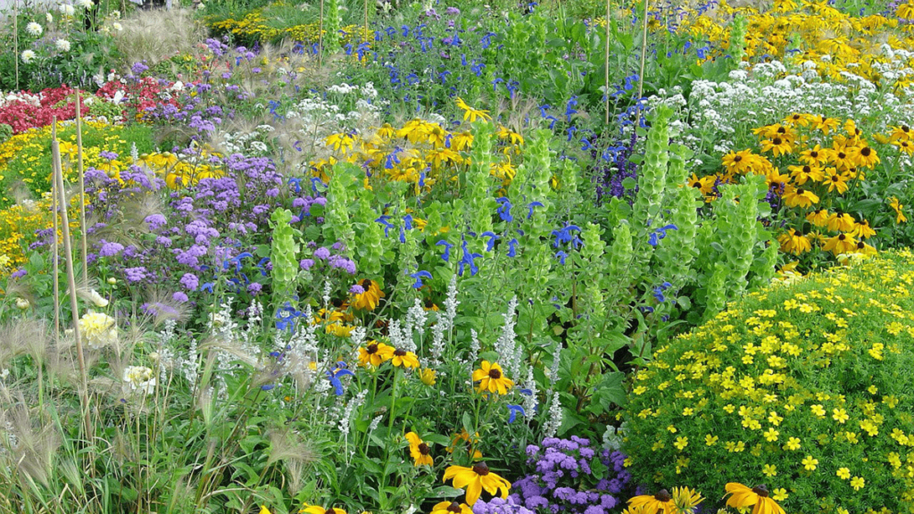 Uitnodiging bijeenkomst over biodiversiteit in de gemeente Dalfsen
