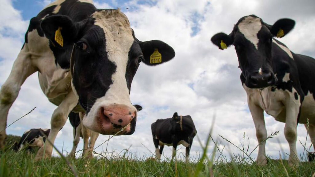 Veel boeren hebben moeite met hulp vragen