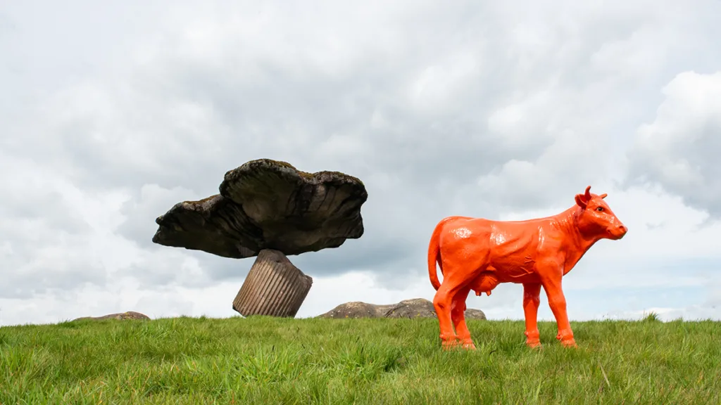 Oranjefeesten Dalfsen 2025: Een Week Vol Feest en Traditie
