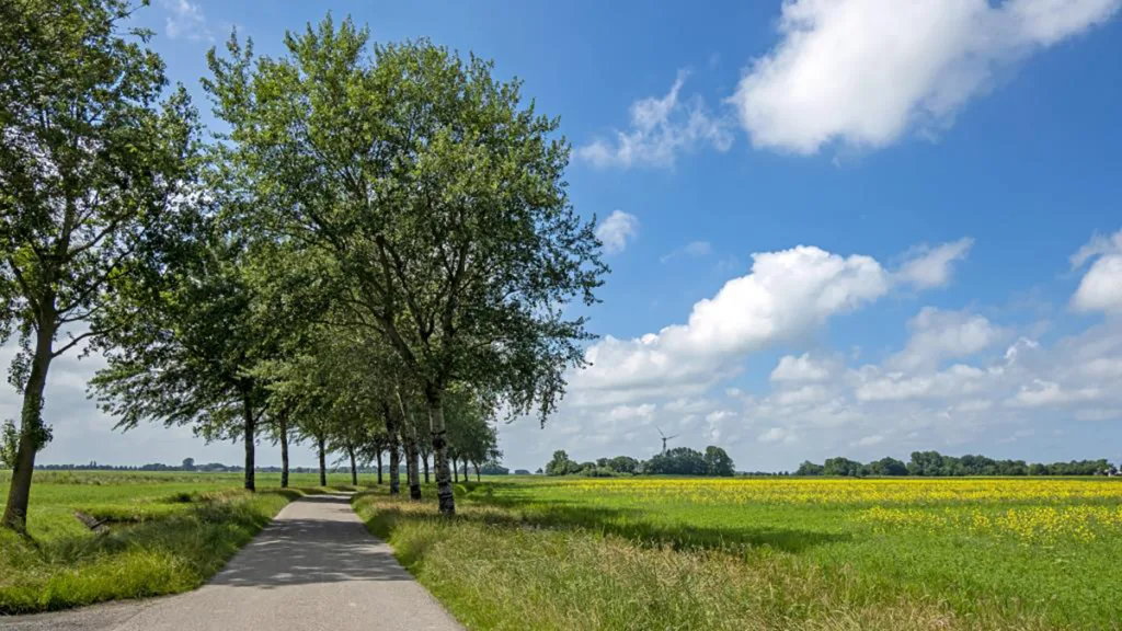 Breed draagvlak voor nieuwe koers buitengebied Dalfsen Breed draagvlak voor nieuwe koers buitengebied Dalfsen