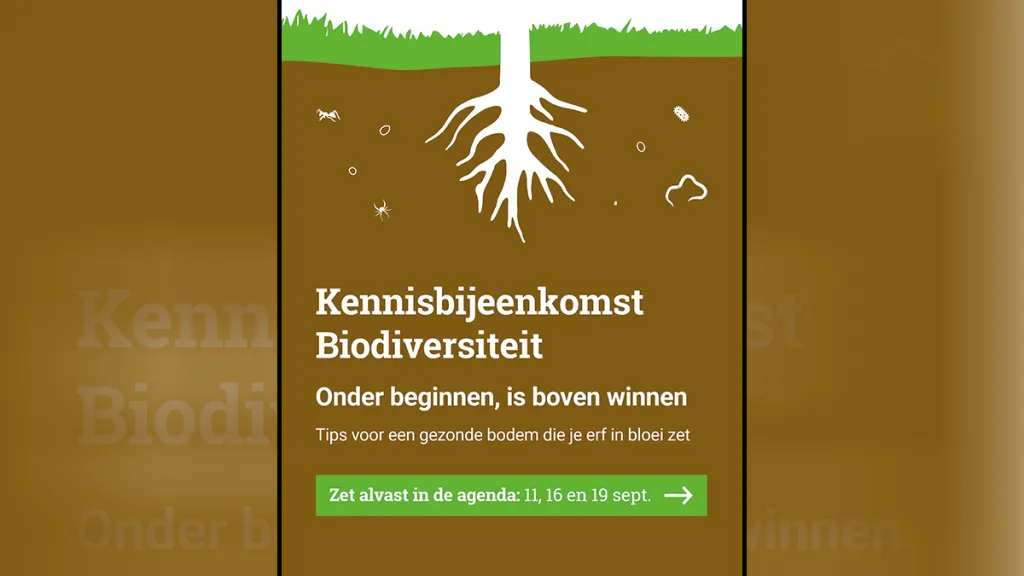 Vechtdal in Bloei: Zo zet u uw tuin optimaal in bloei