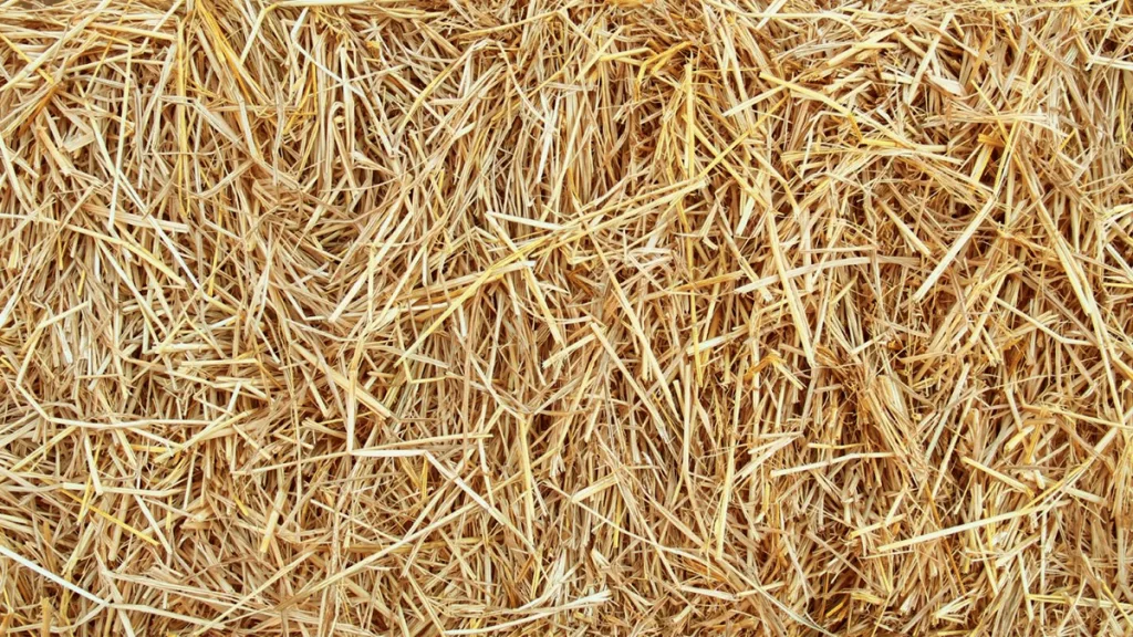 Gevreesde autobrand na Bakfeest Dalfsen; wegen vol stro Gevreesde autobrand na Bakfeest Dalfsen; wegen vol stro