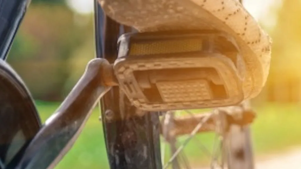 Laatste Saam Welzijn fietstocht van het jaar in Dalfsen