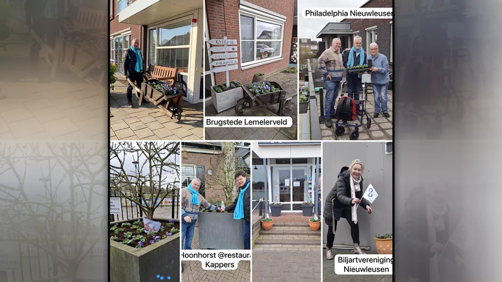 Blauwe viooltjes kleuren de kernen van Dalfsen weer op