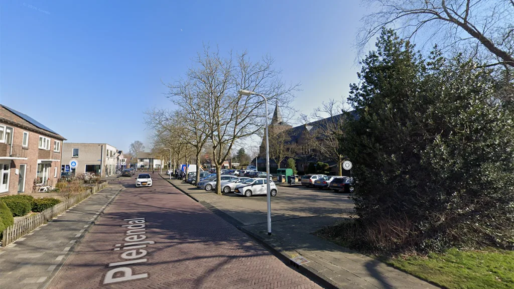Kap 13 platanen Dalfsen voorlopig van de baan