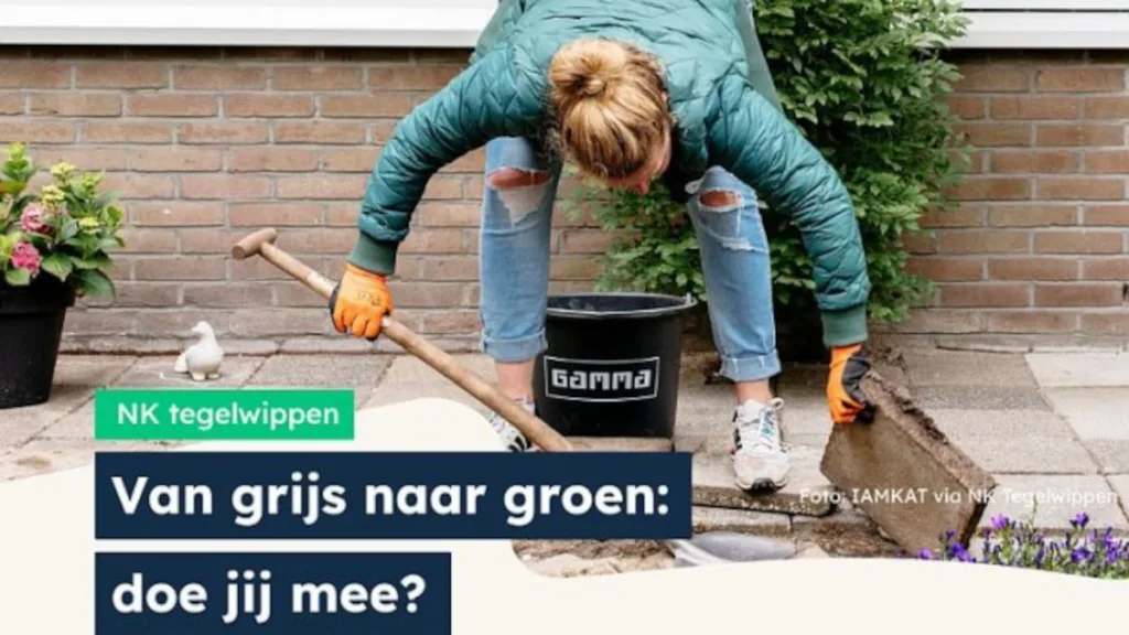 Dalfsen strijdt opnieuw voor winst in NK Tegelwippen Dalfsen strijdt opnieuw voor winst in NK Tegelwippen