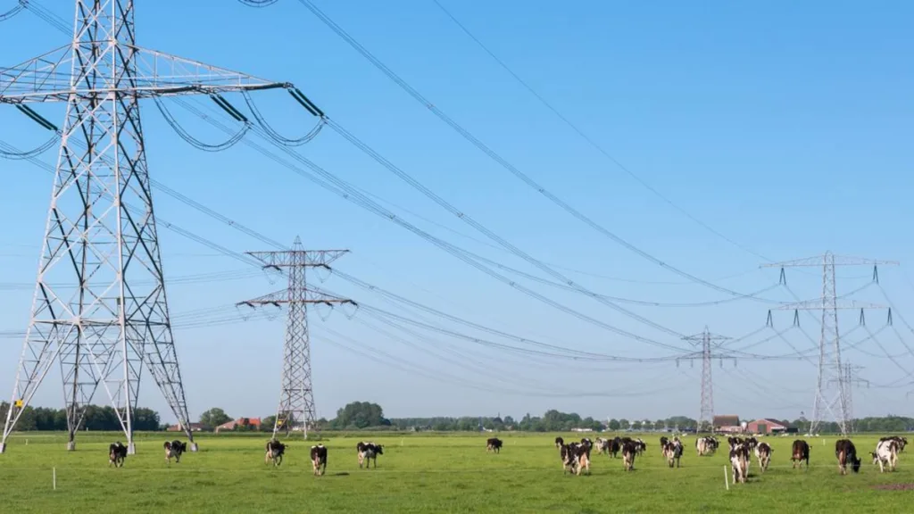 Stroomtekort treft Dalfsen: vanaf 1 juli wachtlijst voor iedereen Stroomtekort treft Dalfsen: vanaf 1 juli wachtlijst voor iedereen
