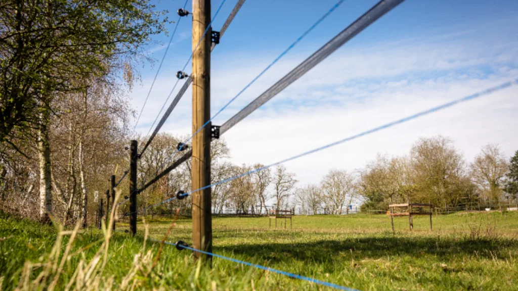 Overijssel heropent subsidie wolfwerende maatregelen