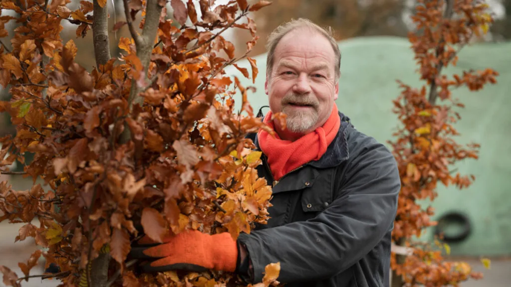Boomdeeldagen Dalfsen: bomen met flinke korting Boomdeeldagen Dalfsen: bomen met flinke korting